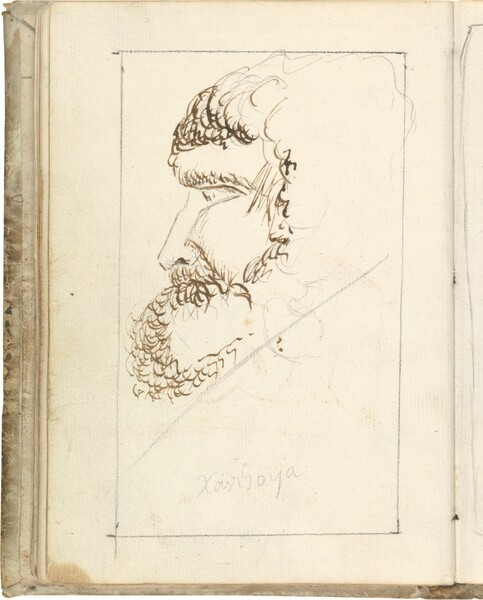 Cabeza barbada de perfil (atribuido a Javier Goya)
