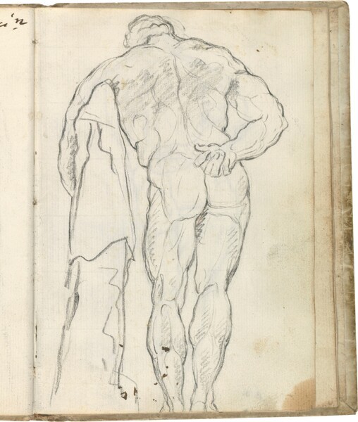 Hércules Farnese (vista dorsal izquierda)