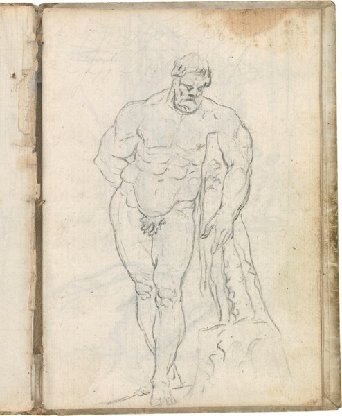 Hércules Farnese (vista frontal)