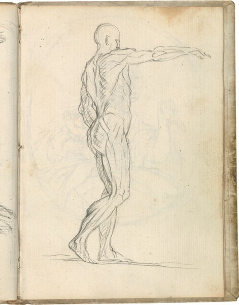 Écorché (Estudio de figura masculina desollada) según Jean-Antoine Houdon
