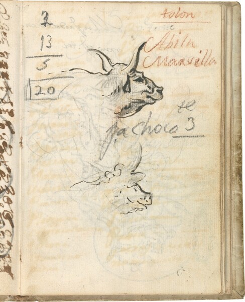 Estudios de cabeza de búfalo de la Maremma para la alegoría del río Po 