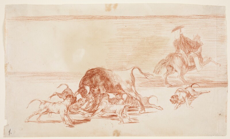 Dogs are thrown to the bull (preparatory drawing)