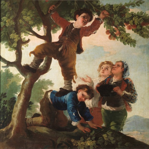 Boys Picking Fruit (Muchachos cogiendo fruta)